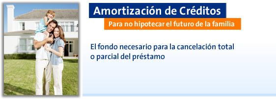 Amortización de Créditos