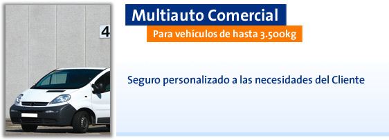 Multiauto Comercial